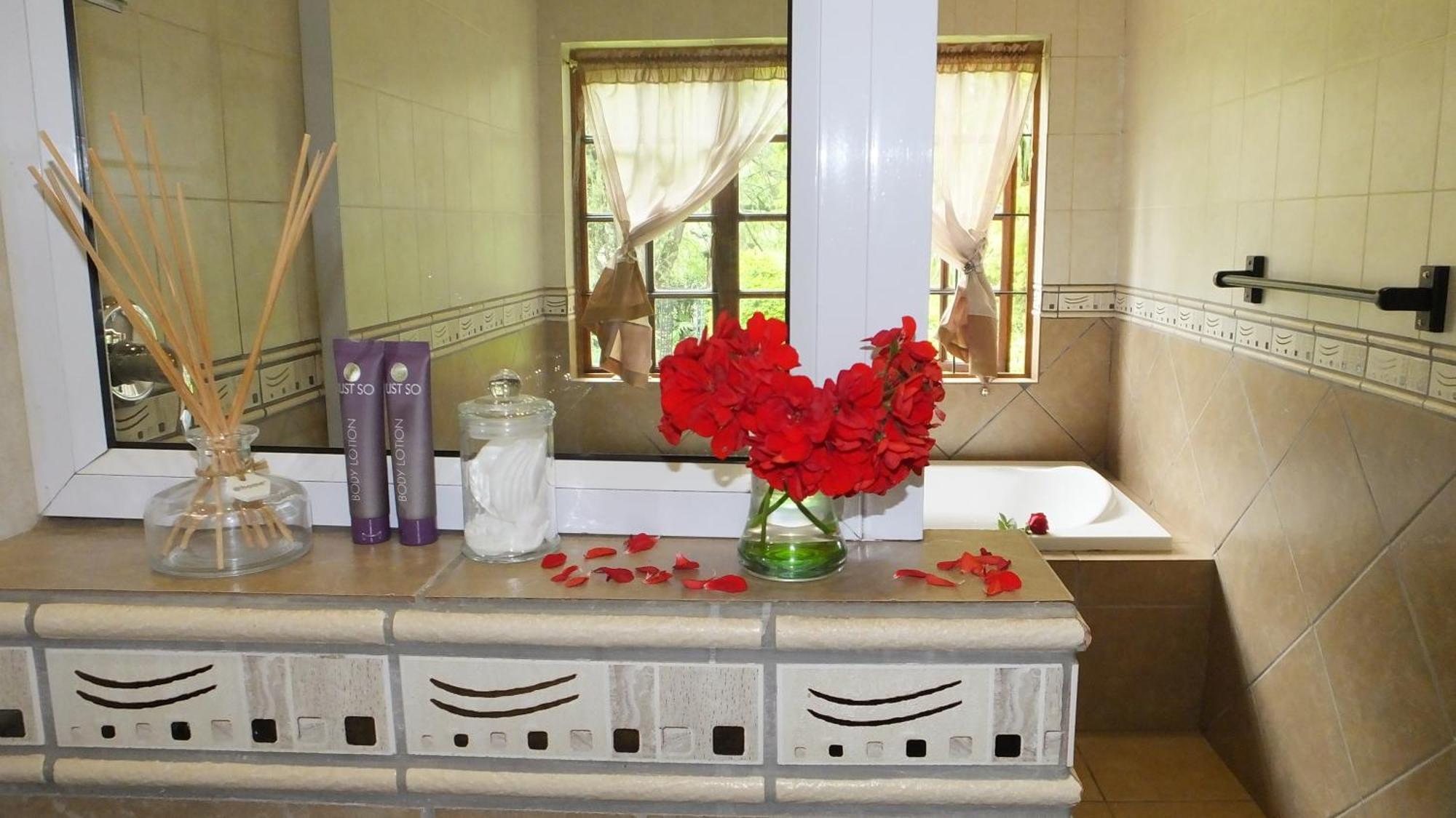 Dublin Guest House ซาบี ห้อง รูปภาพ
