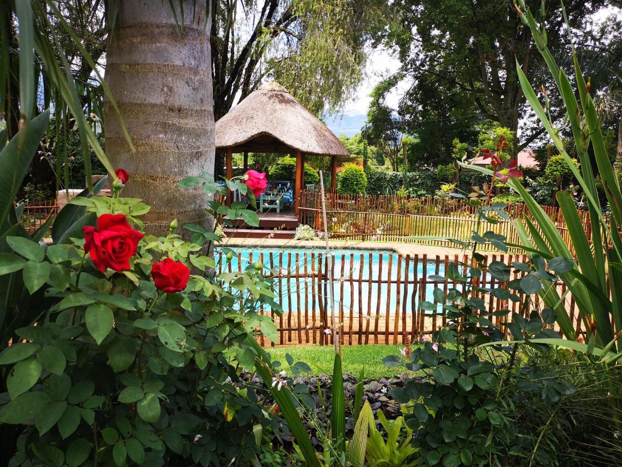 Dublin Guest House ซาบี ภายนอก รูปภาพ